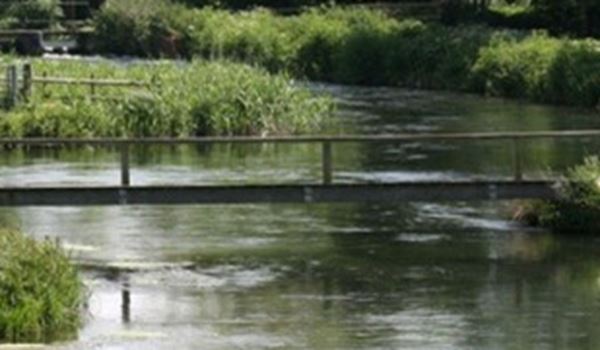 Stockbridge River Test