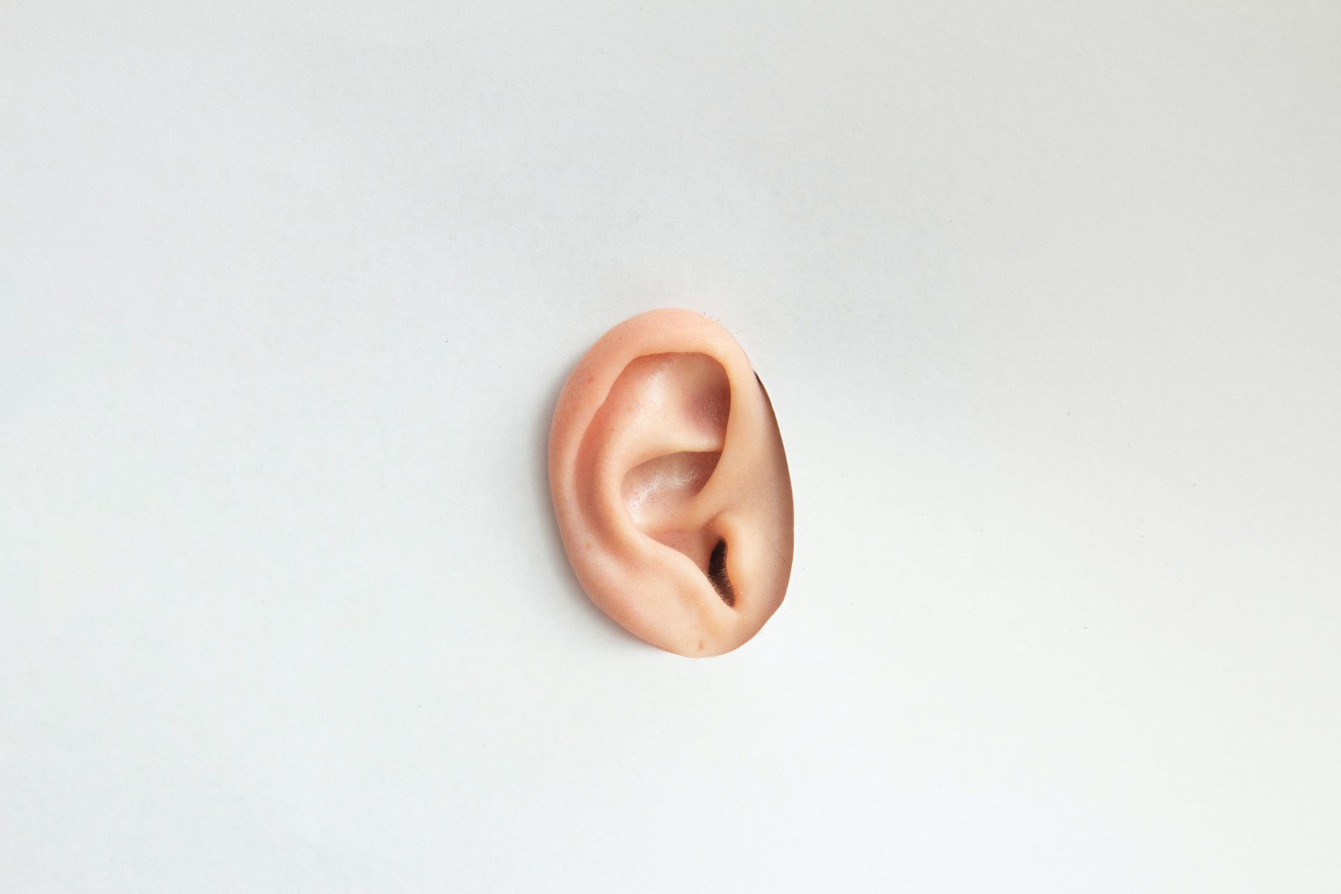 Ear